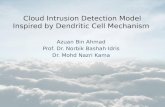Cloud intrusion detection model inspired by dendritic