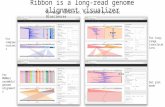 Ribbon tutorial for genomic data