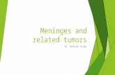 Meninges and related tumors