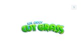 Lawn Care & Maintenance Houston - We Only Cut Grass