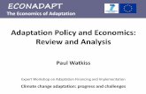 Watkiss econadapt economics of adaptation