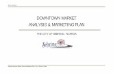 Sebring Downtown Market Analysis _Marketing Plan