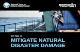 10 Tips to Mitigate Natural Disaster Damage