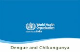 Dengue & Chikungunya - All You Need To Know!