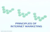Principles of-internet-marketing2951