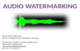 Audio watermarking