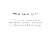 Assign 2: What is an ots