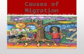 Causes of migration rev4
