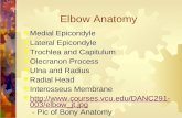 Chapter 19   elbow -  class copy