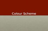 Presentation on colour scheme