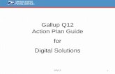 Gallup Action Plan for Digital Solutions