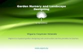 Vigoro Nursery - Transforming Landscape Designs in the Cayman Islands
