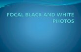 FOCAL BLACK AND WHITE PHOTOS
