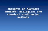 Thoughts on Ailanthus altissima: biological and chemical eradication methods