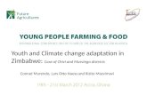 Murendo Youth and climate change adaptation in Zimbabwe - case of Chivi and Masvingo districts