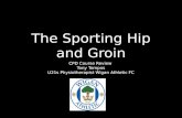 Sporting Hip and Groin