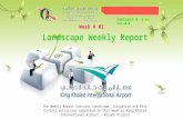 Landscaping Maintenance report Week # 1