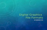 Digital graphics pro forma1