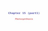 Chemistry 15.1-Photosynthetic-electron-transport