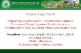 Work plan 2016_17  Beans Ethiopoa_TL III Annual Meet