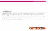 Amber Brochure