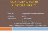 Analyzing poor hatchability