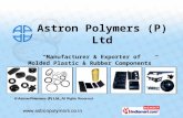 Automobile Parts by Astron Polymers (P) Ltd. Faridabad