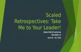 Scaled Retrospectives: Take me to your leader!