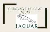 Changing culture-at-jaguar