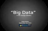 "Big Data" in the Energy Industry
