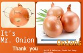 Mr onion june 25th