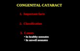 23 congenital cataract