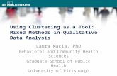 Using Clustering as a Tool: Mixed Methods in Qualitative Data Analysis