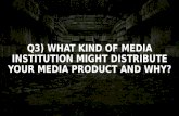 Q3) WHAT KIND OF MEDIA INSTITUTION MIGHT DISTRIBUTE YOUR MEDIA PRODUCT AND WHY?