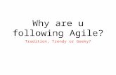 Why are you following agile