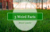 3 Weird Facts About Lawns