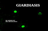 Clase 6[1]. giardiasis