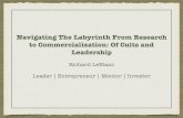Navigating The Labyrinth From Research to Commercialization: Of Cults and Leadership