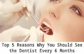 Top 5 Reasons Why You Should See the Dentist Every 6 Months