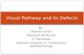 Visual pathway and its defects