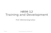 HRM-12-Traning and Development