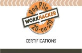 WorkHacker Dogpile Certifications
