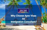 Why Choose Apex Visas  As  Immigration Consultant?