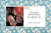 25 Data Principles To Abide By