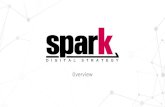 Spark Overview of Services Document