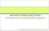 Nervous and endocrine systems.