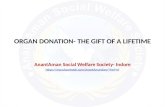 Organ donation  the gift of a lifetime
