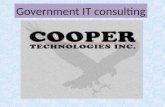 Government IT Consulting