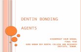 Dentin bonding agent