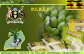 Pibid background as presented by eng kibuuka ssempebwa r